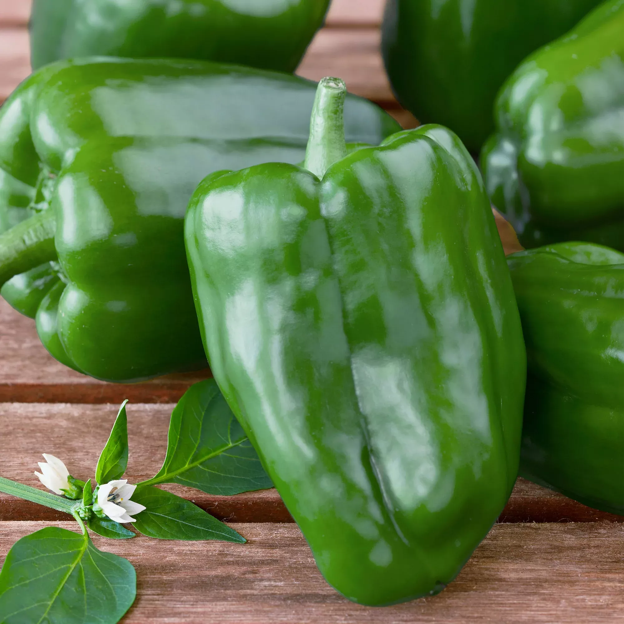 2.32 qt. Green Bell Pepper