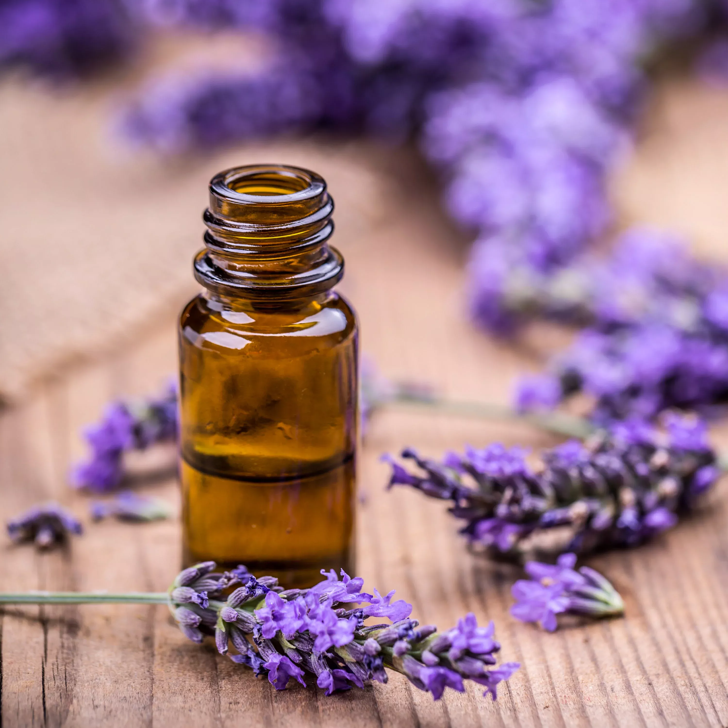 2.32 qt. Lavender