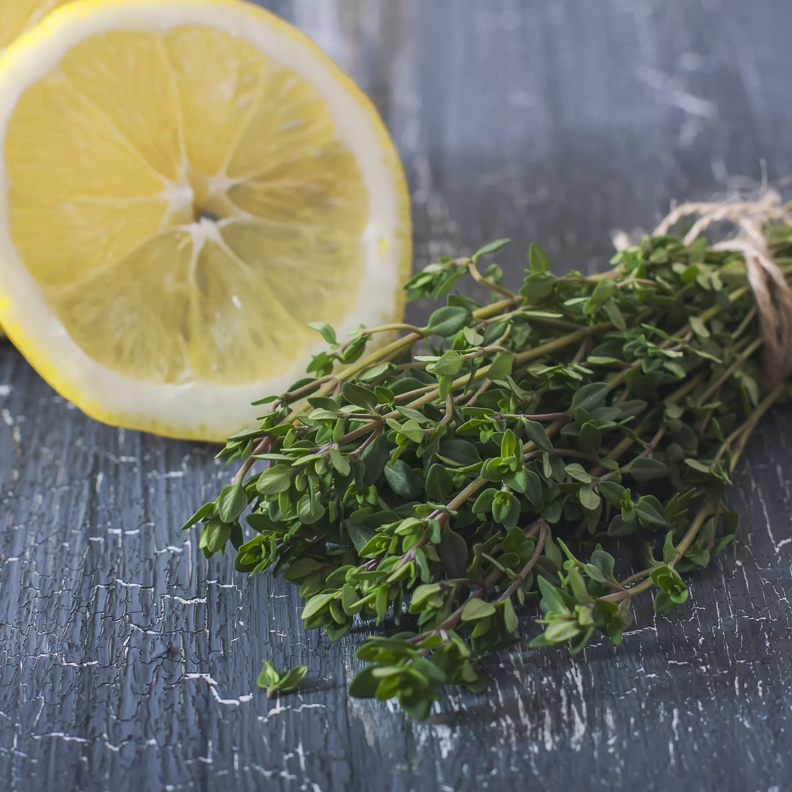 2.32 qt. Lemon Thyme