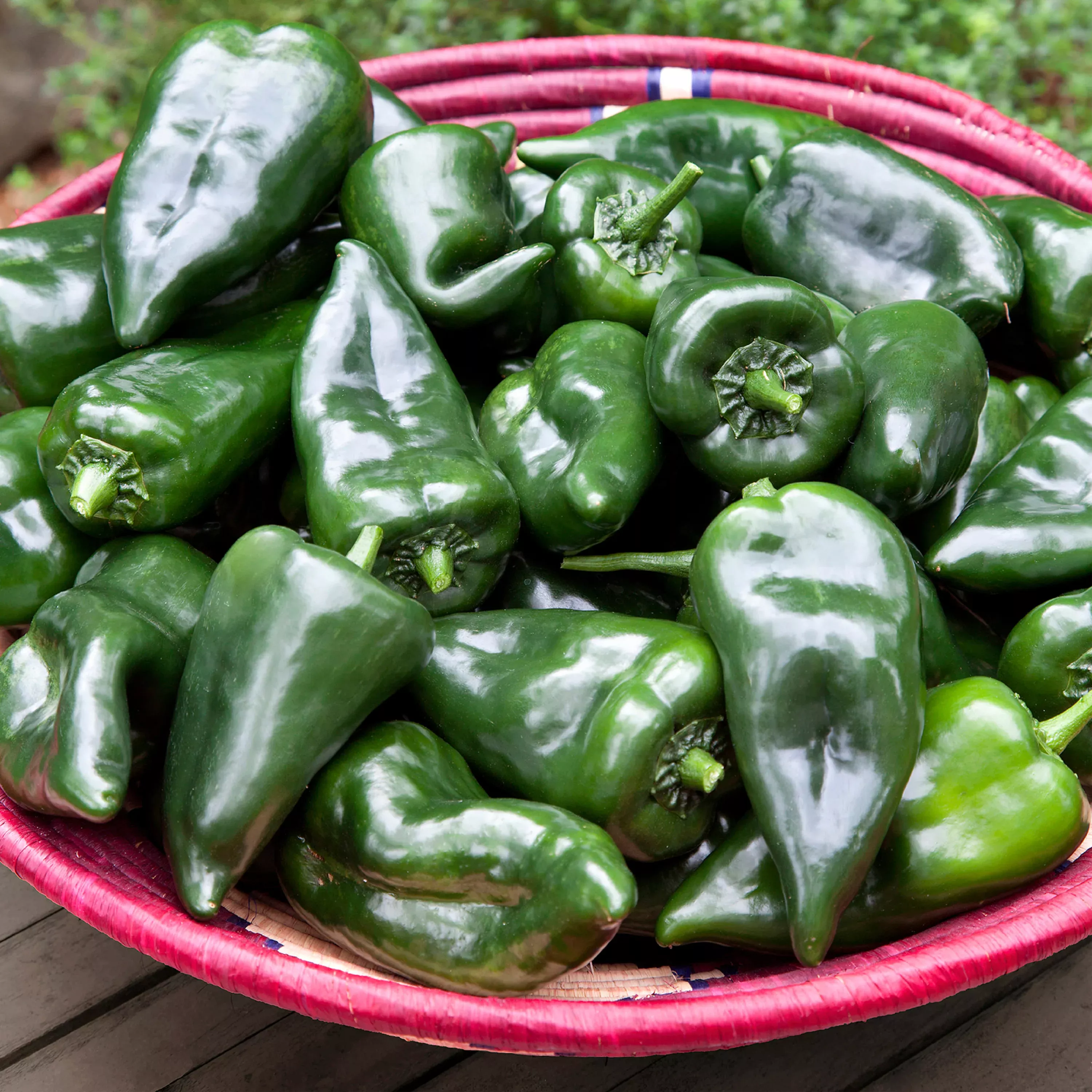 2.32 qt. Poblano Pepper