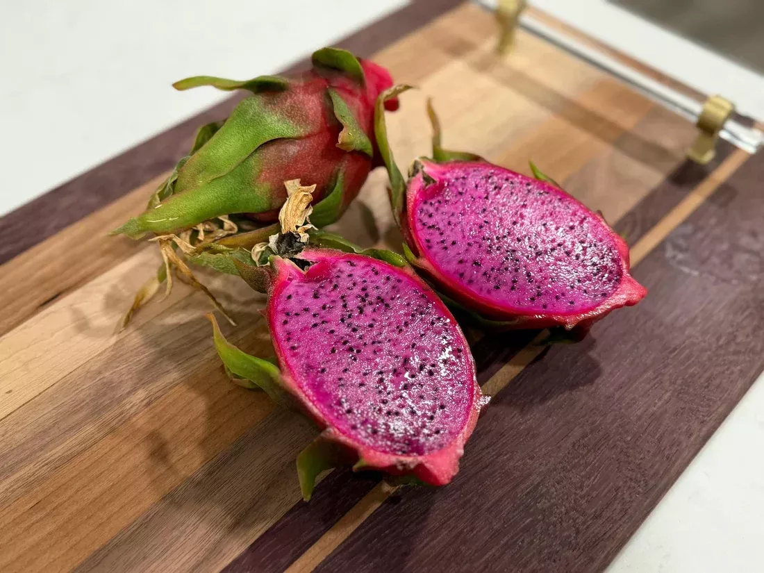 2 Red Dragon Fruit Cuttings 9–14" | Physical Graffiti Variety | Hylocereus Hybrid | Sweet Flesh, Fast Grower, Rare Edible Cactus