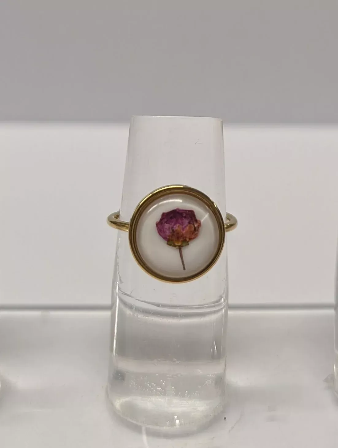 Adjustable Ring | Bog Laurel | Gold Toned Stainless Steel