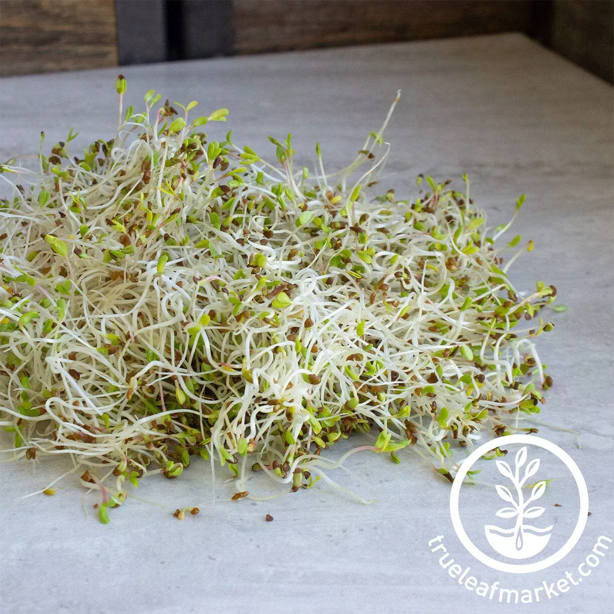 Alfalfa - Organic - Sprouting Seeds