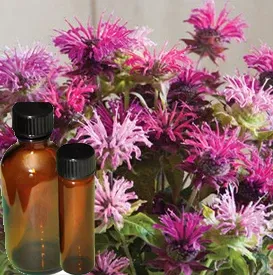 Bergamot Essential Oil