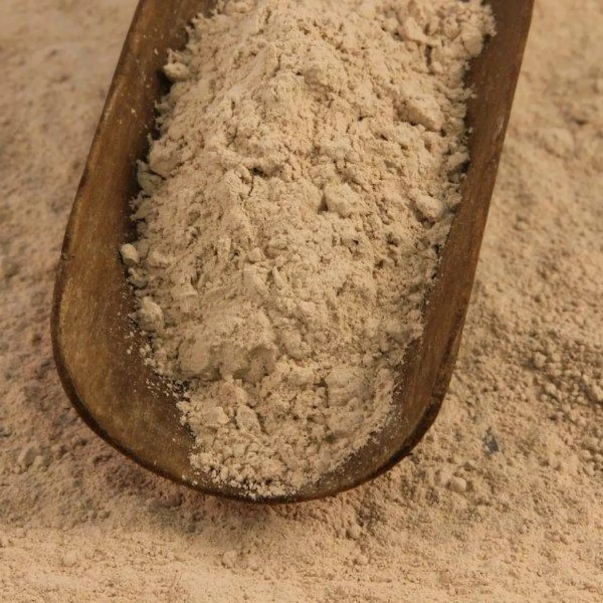 Black Swallow - Azomite Rock Dust – Organic Trace Elements & Minerals for Soil Health