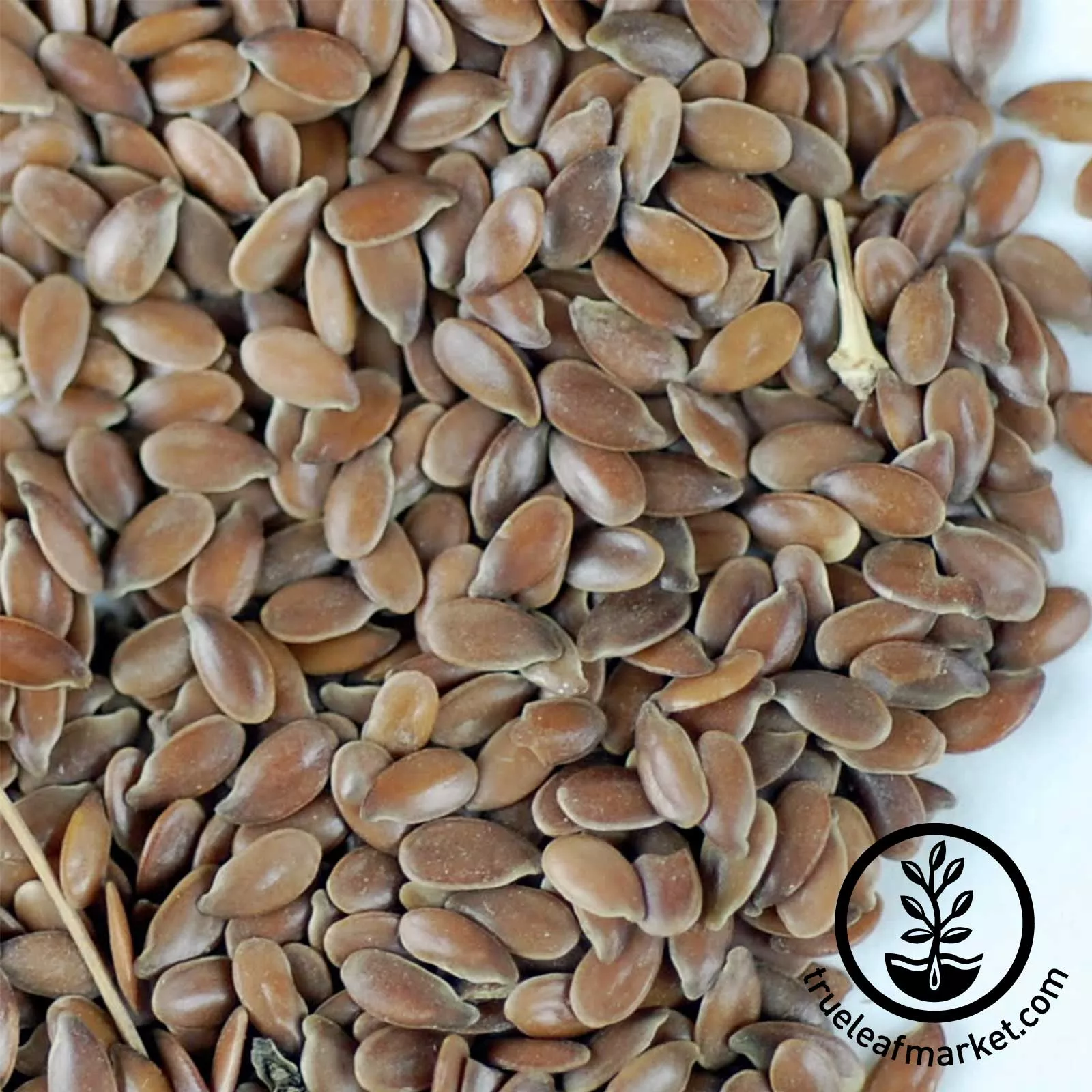 Brown Flax (Organic) - Bulk Grains