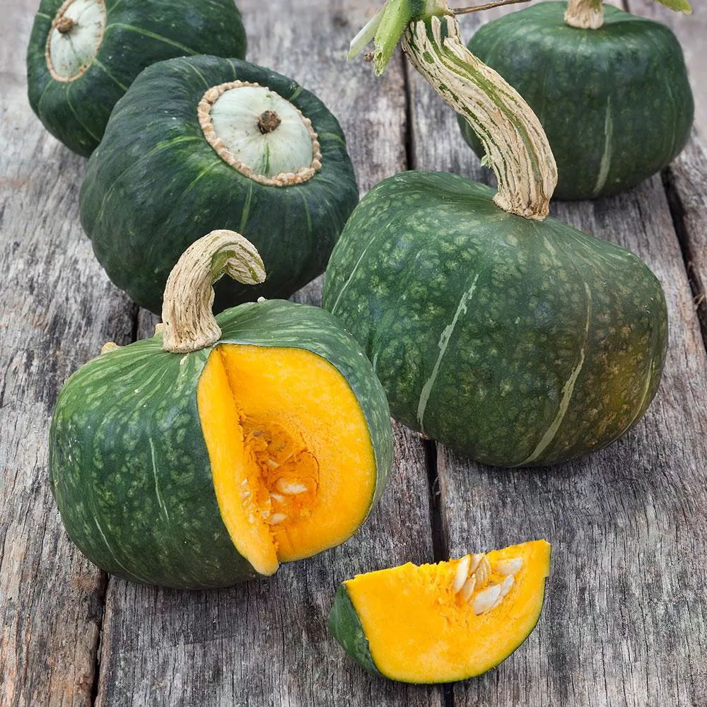 Burgess Buttercup Squash