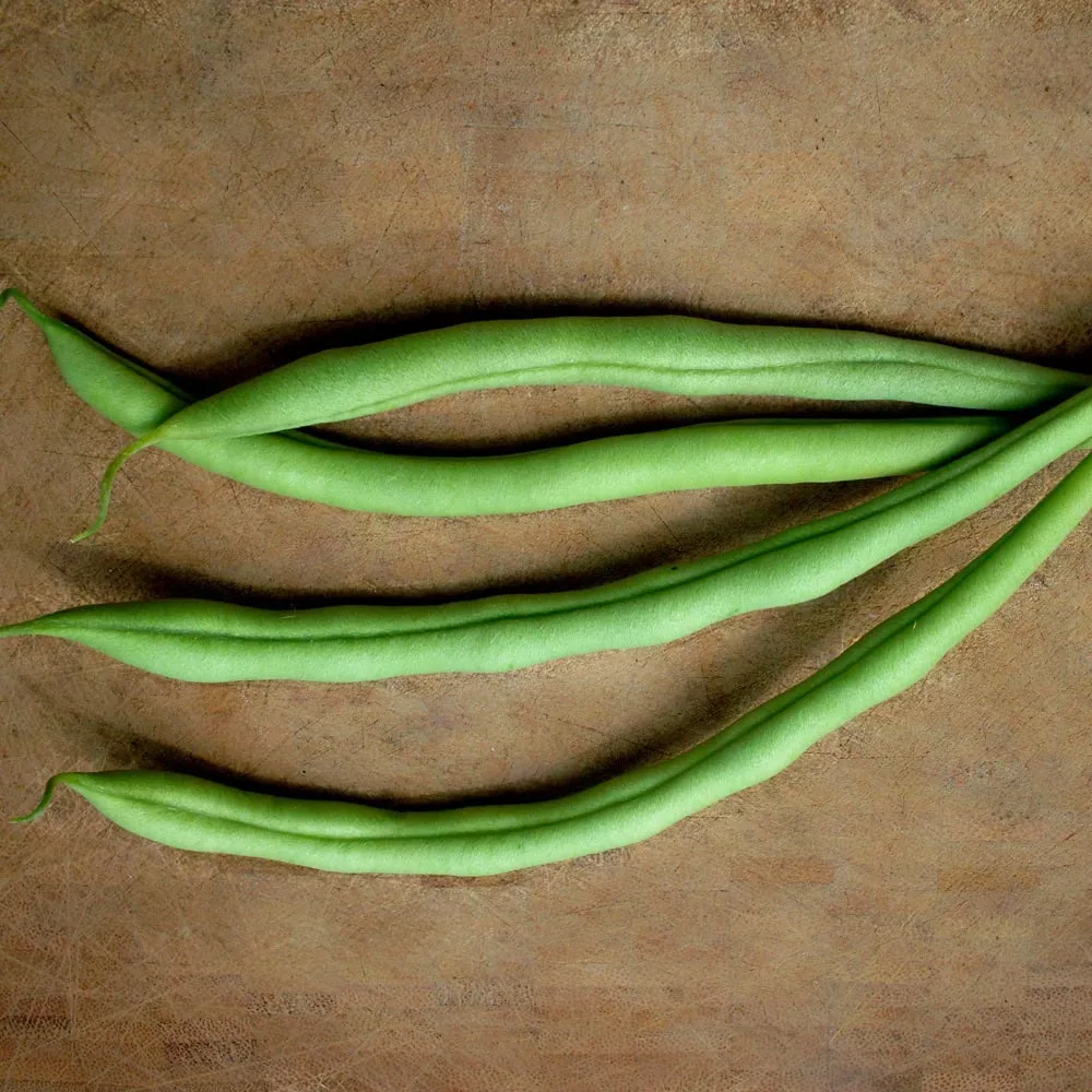 Bush Snap Bean, Cupidon (Organic)
