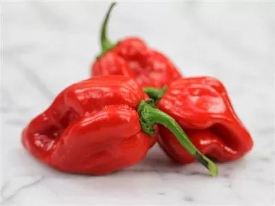 Caribbean Red Habanero