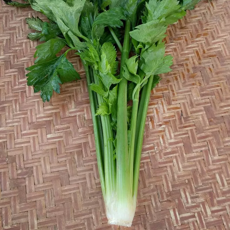 Celery, Ventura (Organic)