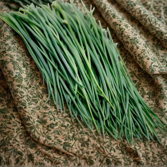 Chives Common Seeds