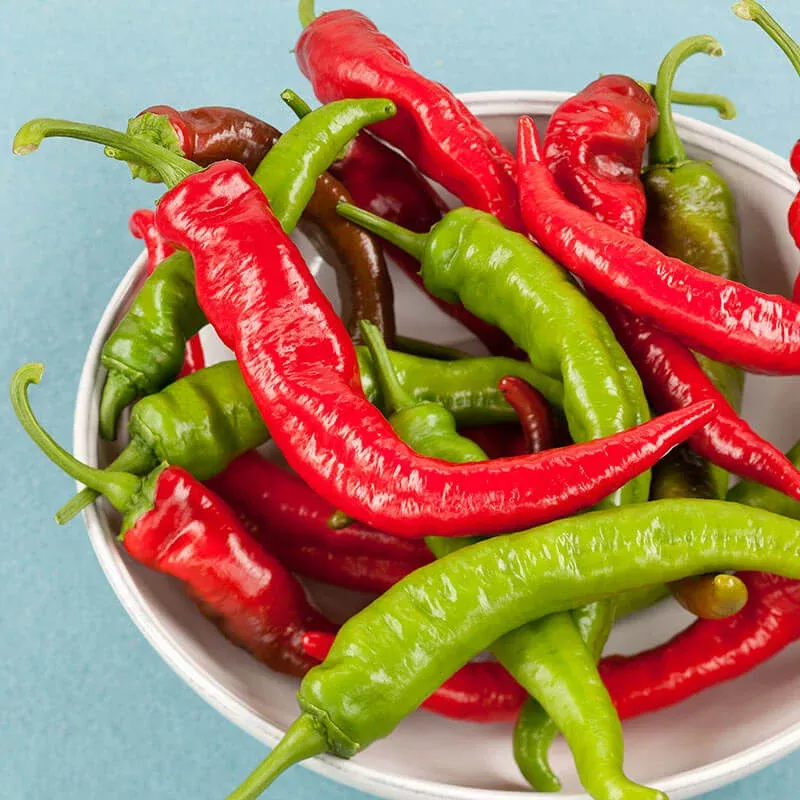 Cowhorn Pepper (2 Pack)