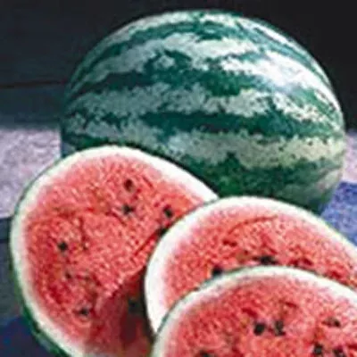 Crimson Sweet Watermelon