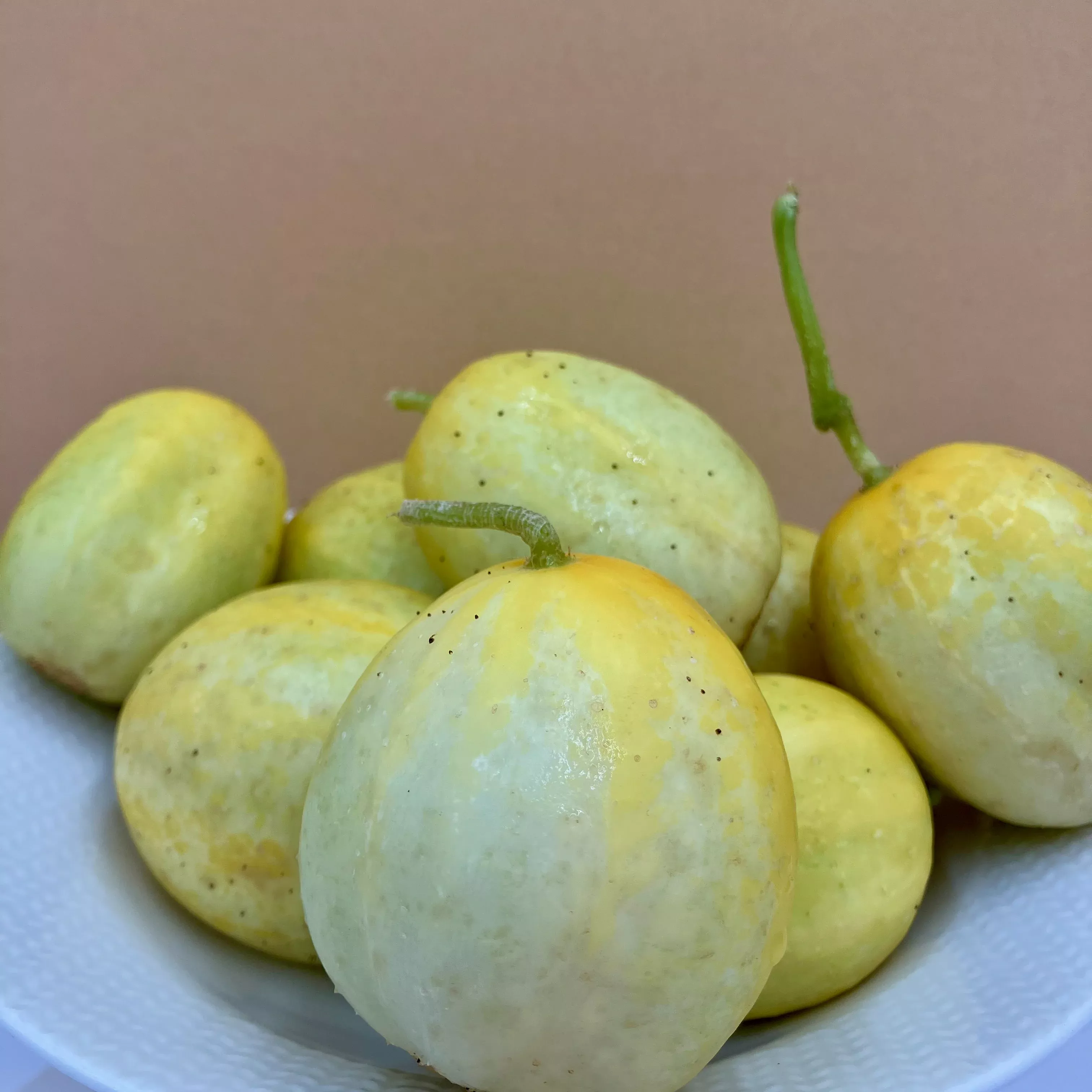 Cucumber ⁃ Organic Seed Lemon