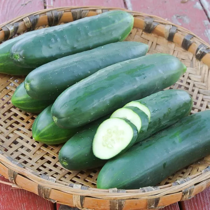 Cucumber, Poinsett 76 (Organic)