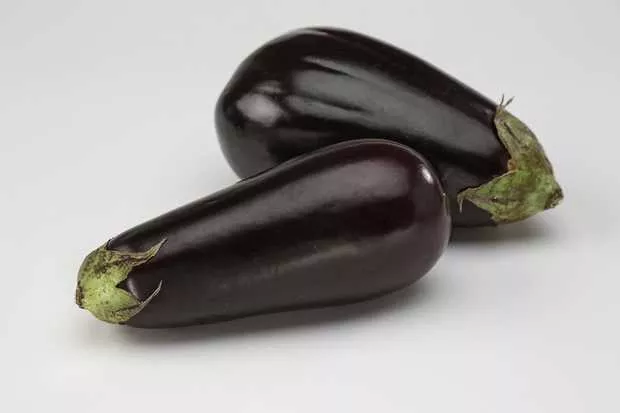 Florida High Bush Eggplant