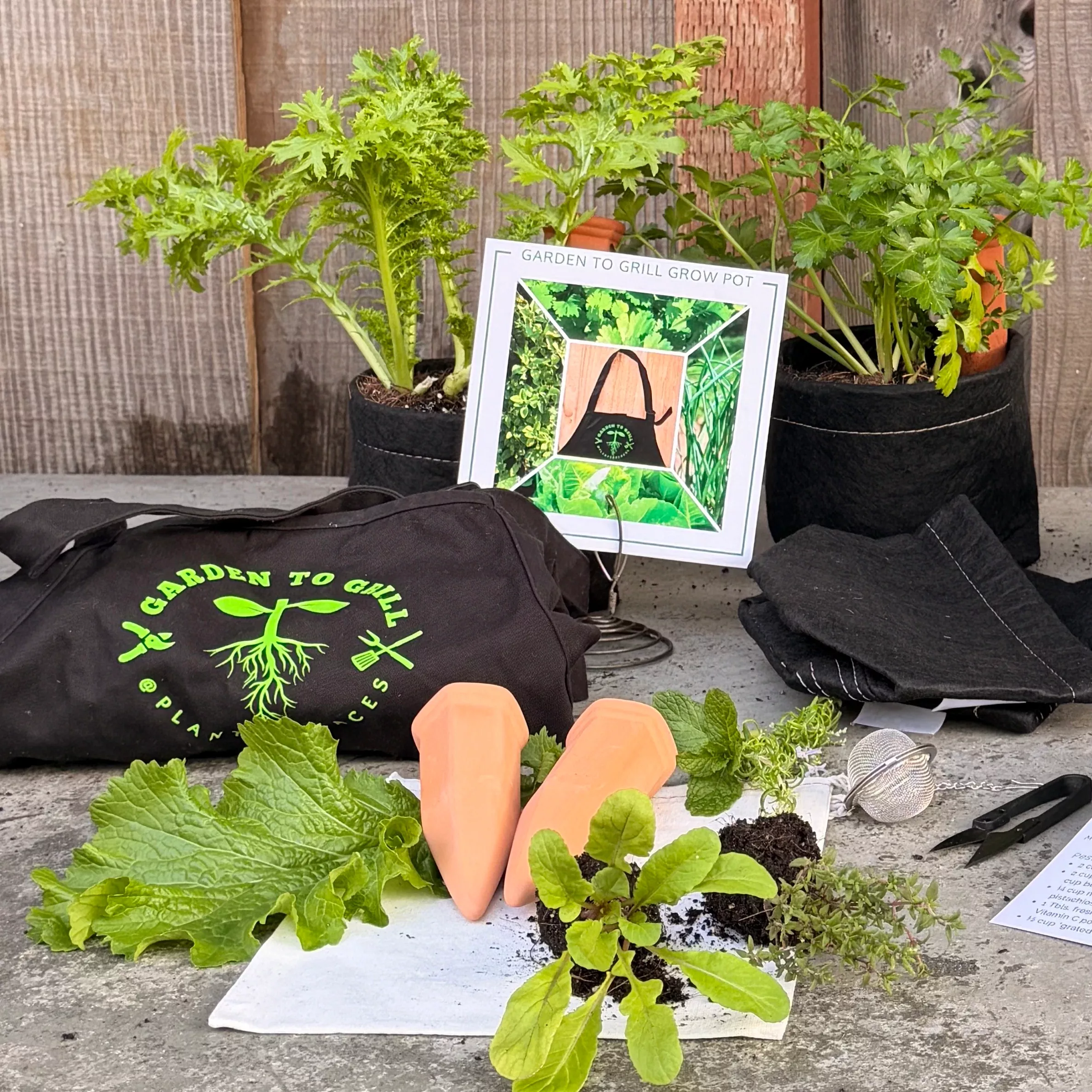 Garden To Grill Grow Kit + Apron