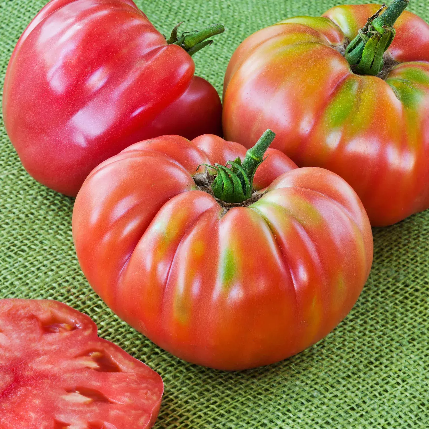 German Queen Heirloom Tomato (2 Pack)