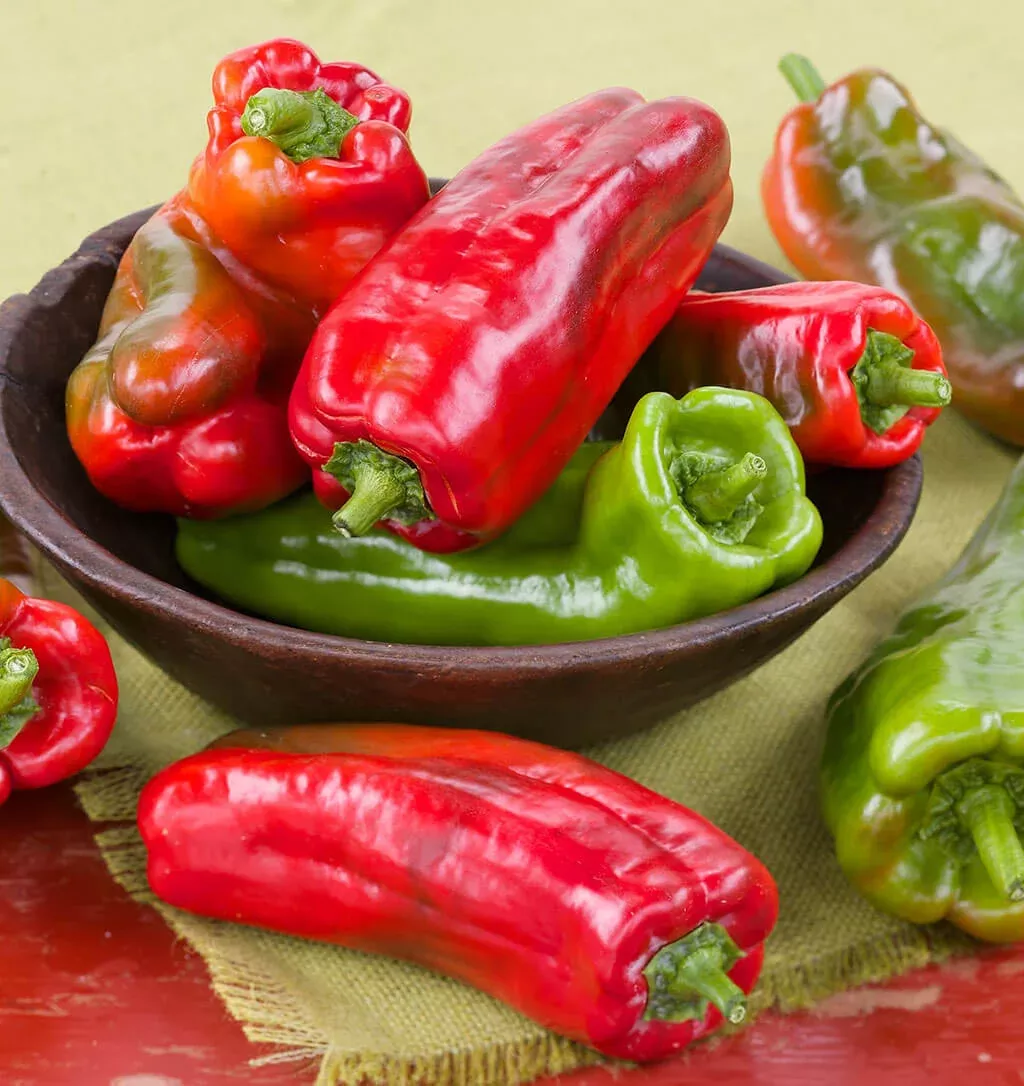 Giant Marconi Pepper (2 Pack)