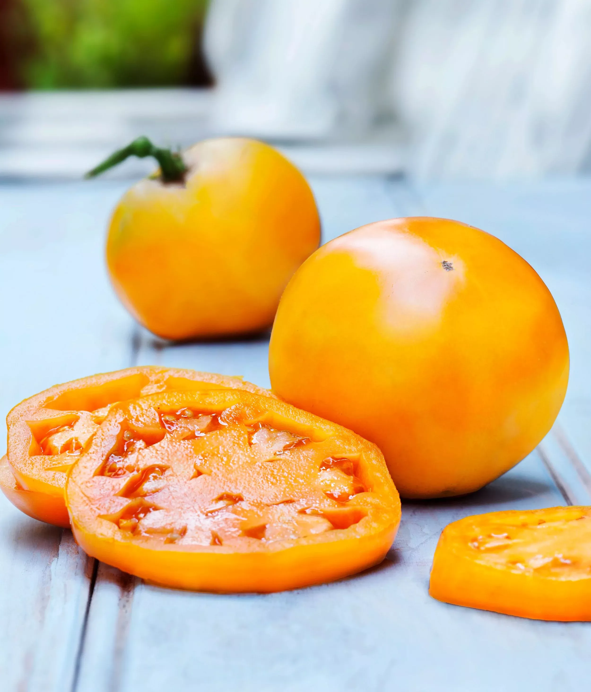 Golden Jubilee Tomato (2 Pack)