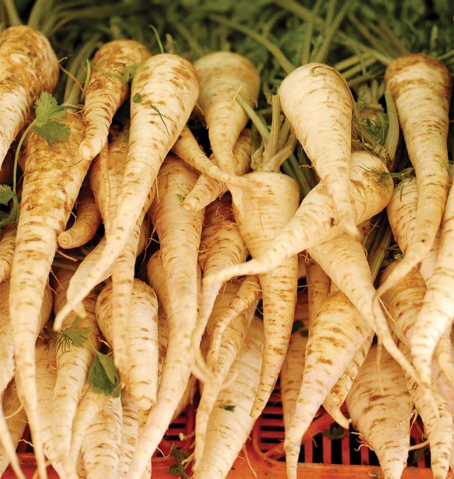 Harris Early Model Parsnip