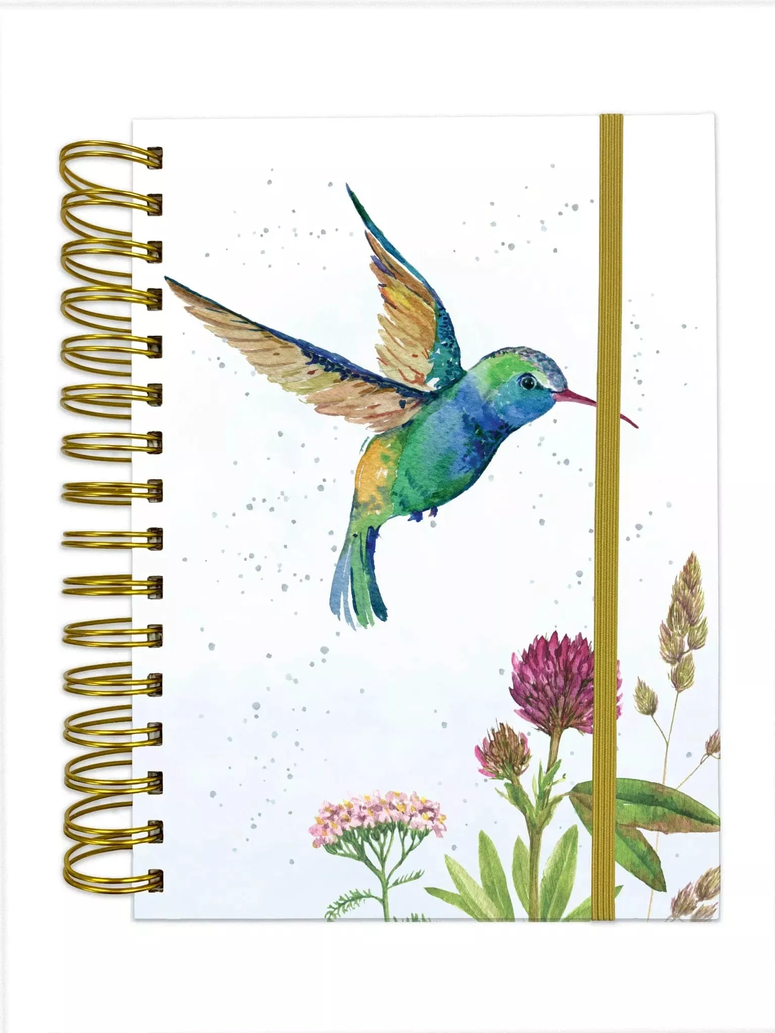 Journal Hannah The Hummingbird
