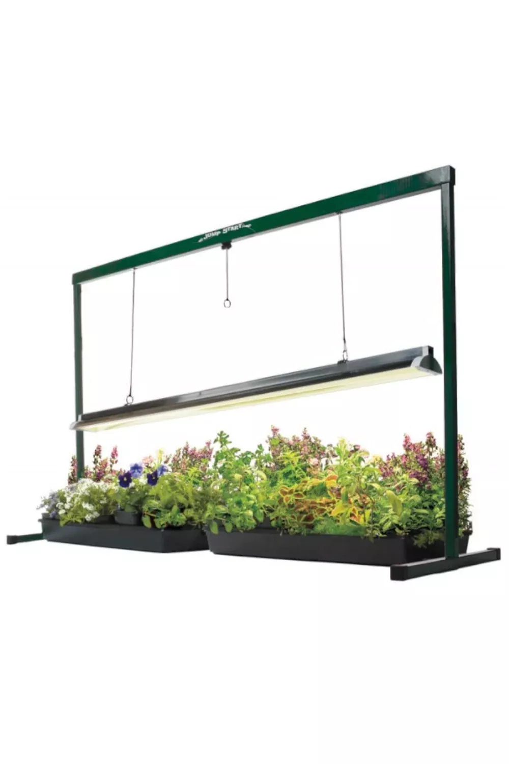Jump Start 4ft T5 Grow Light with Timer and Stand