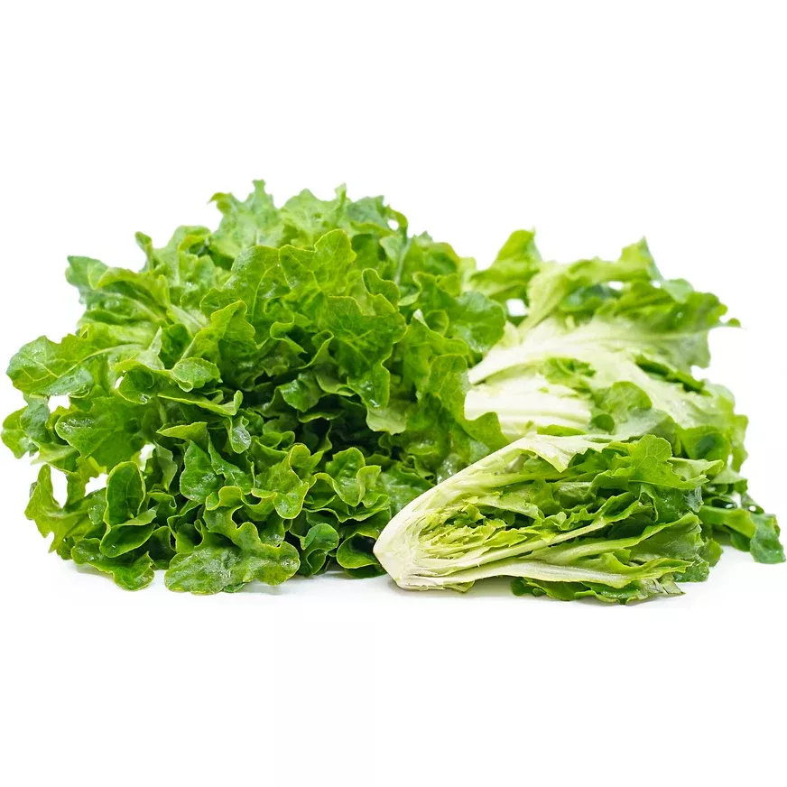 Lettuce Oakleaf Green Seeds