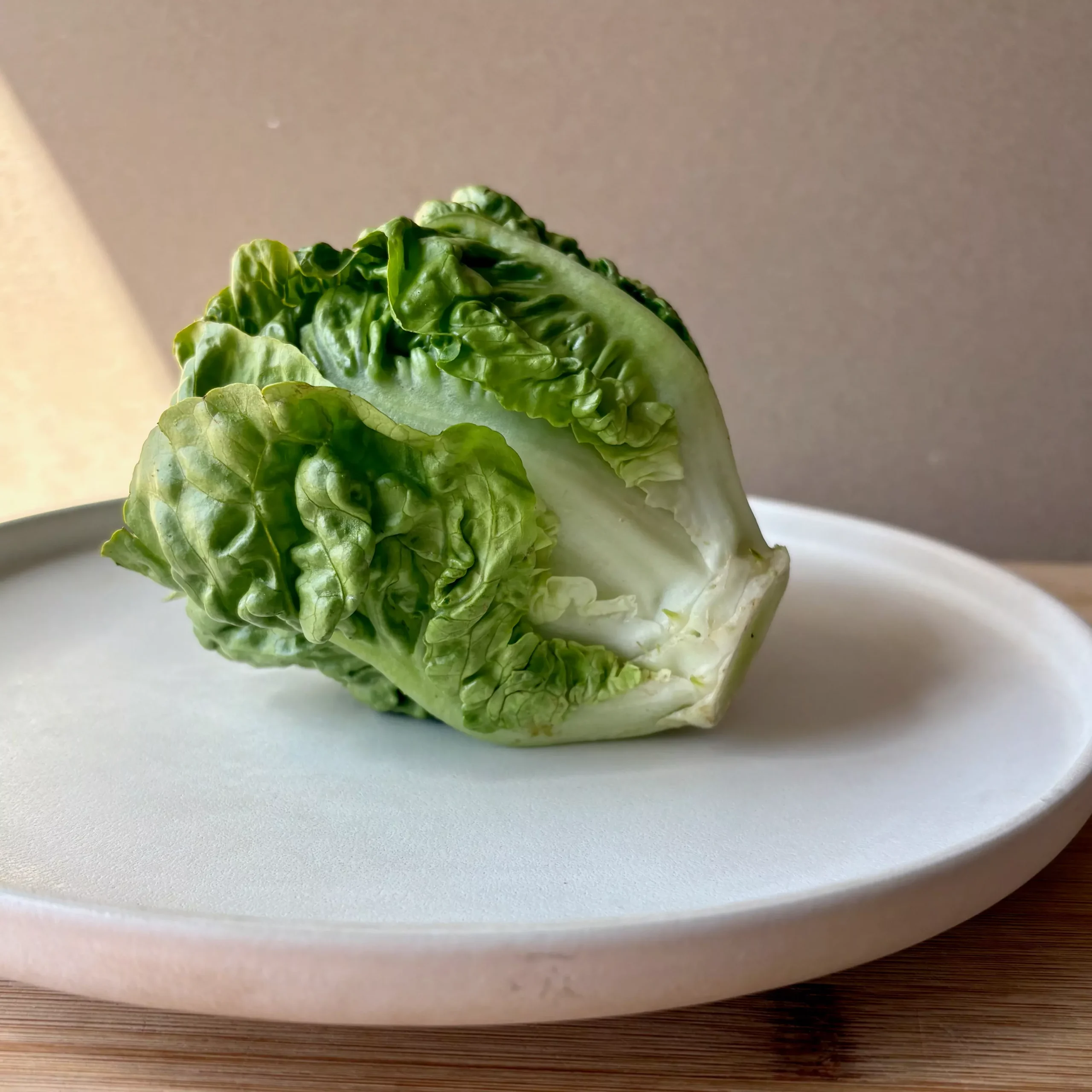 Lettuce ⁃ Organic Seed Little Gem