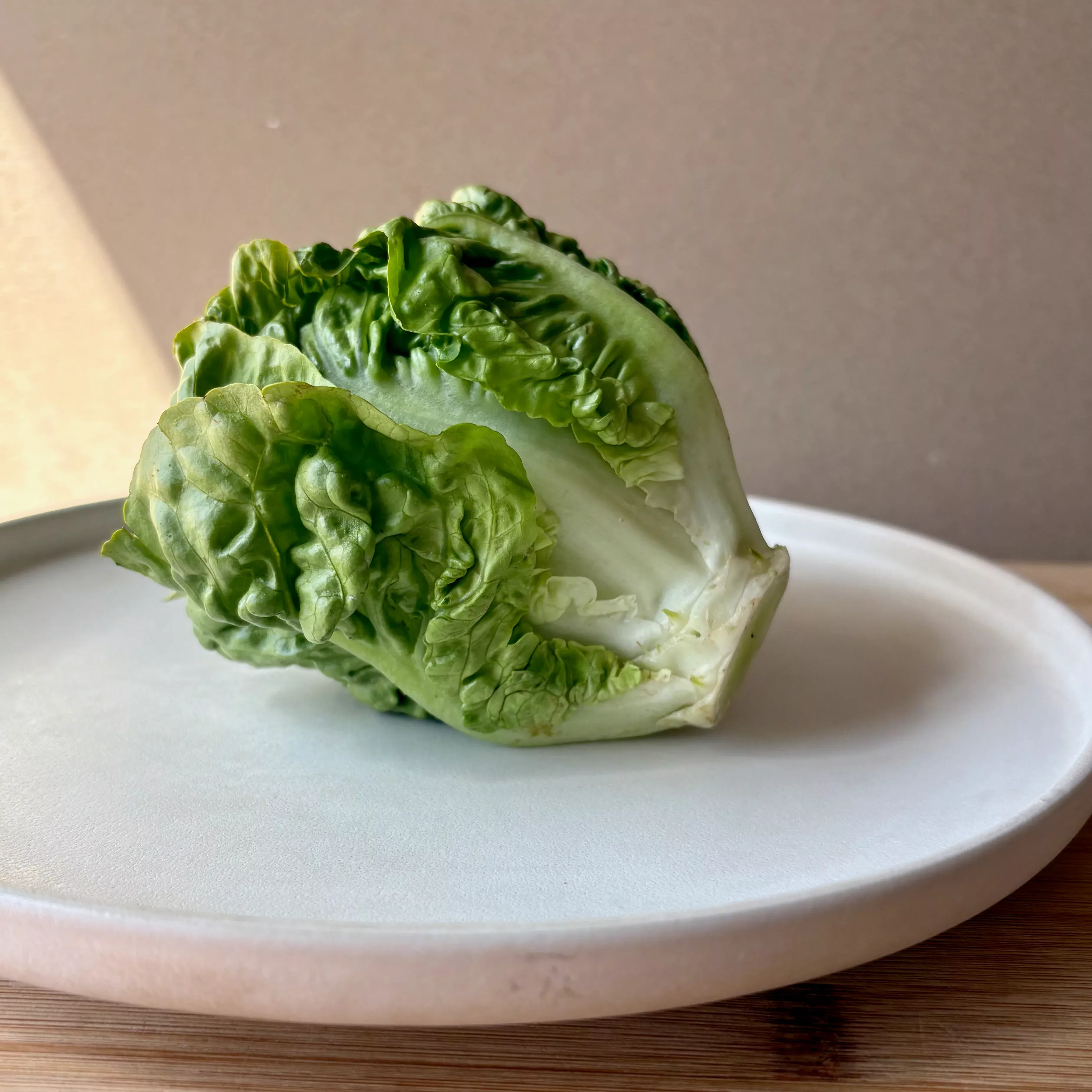 Lettuce ⁃ Organic Seed Little Gem