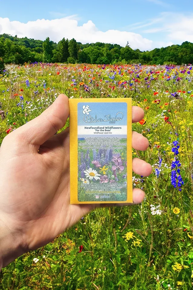 LOCAL Wildflowers 'For the Bees' Seed Mix