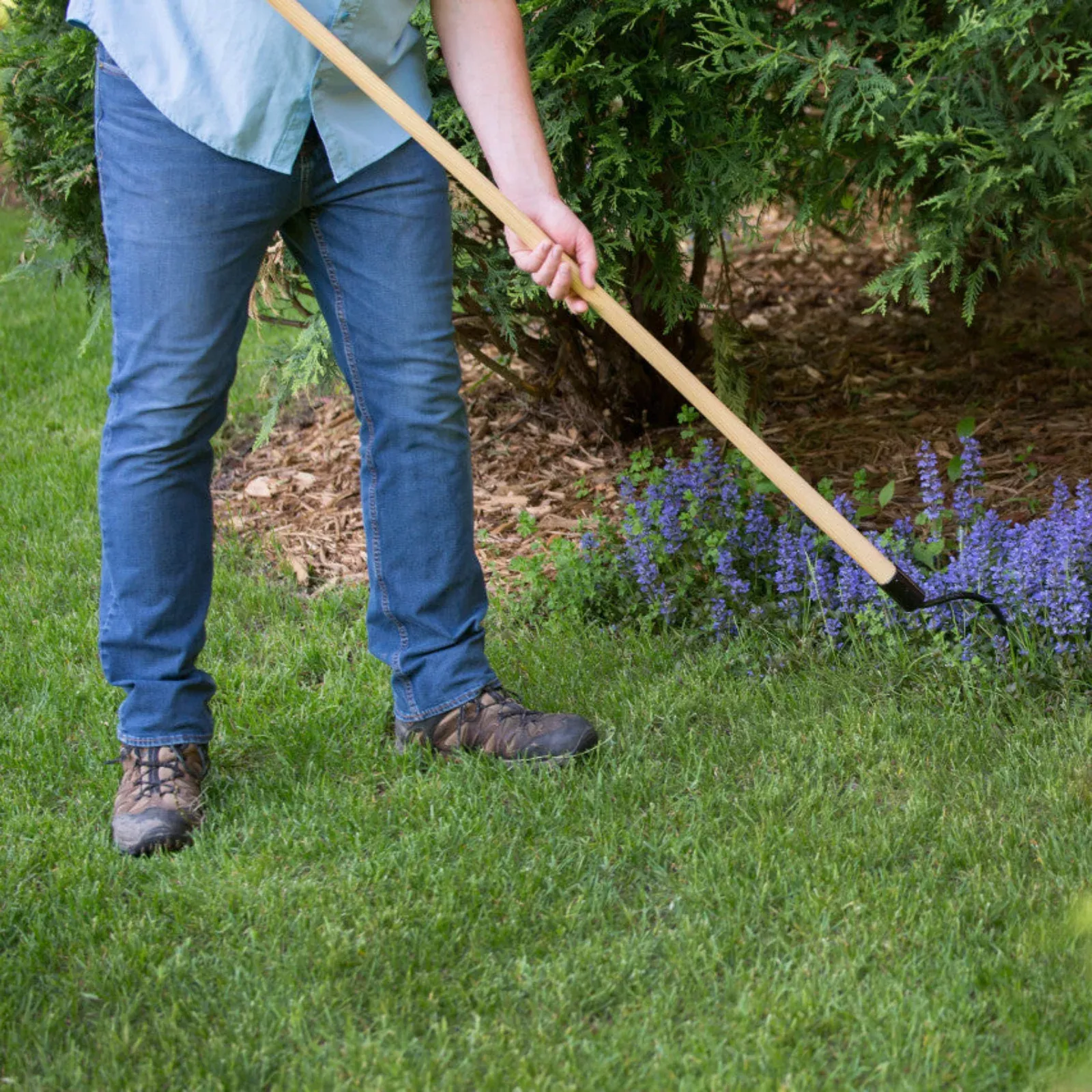 Long Handle Weeder & Cultivator Garden Tool with Tempered Steel Blade