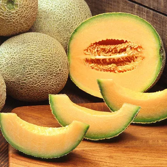 Melon Cantaloupe Hales Best Jumbo Seeds