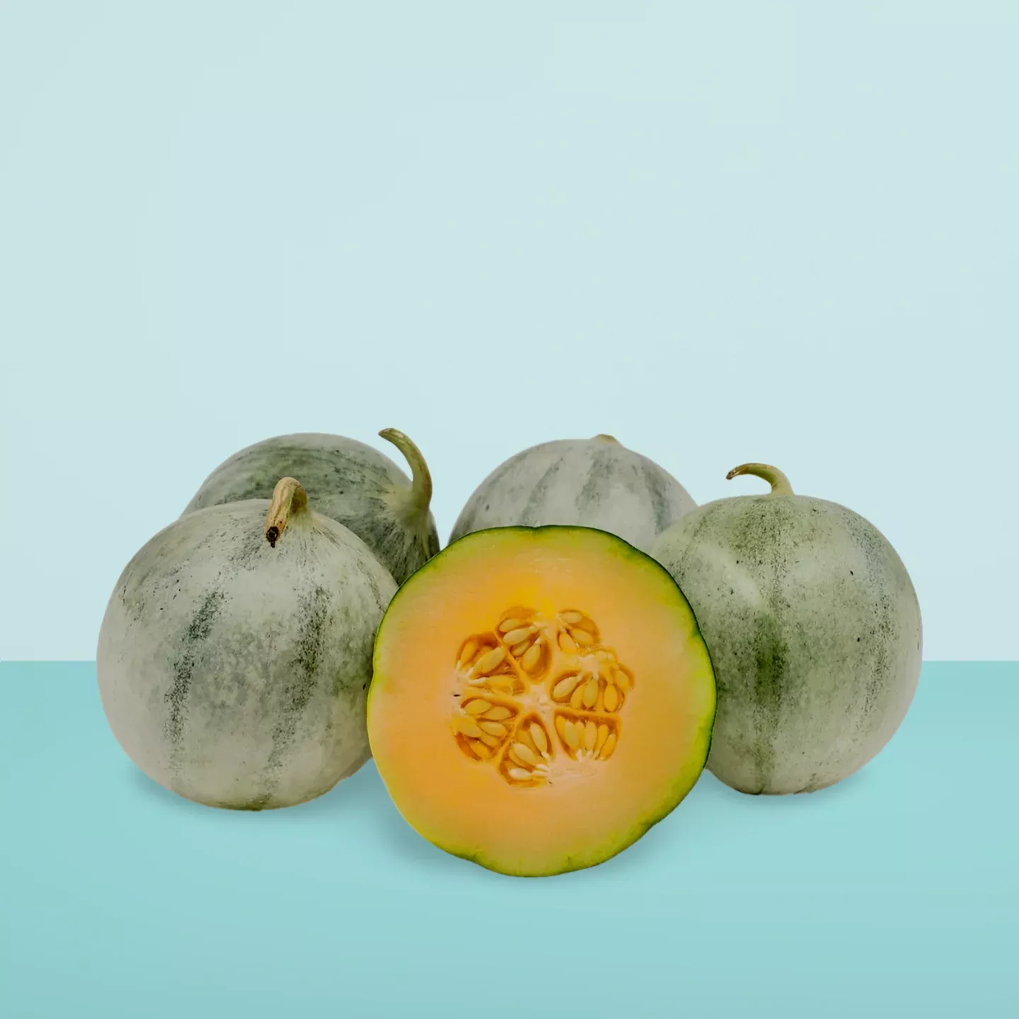 Melon Charentais Seeds