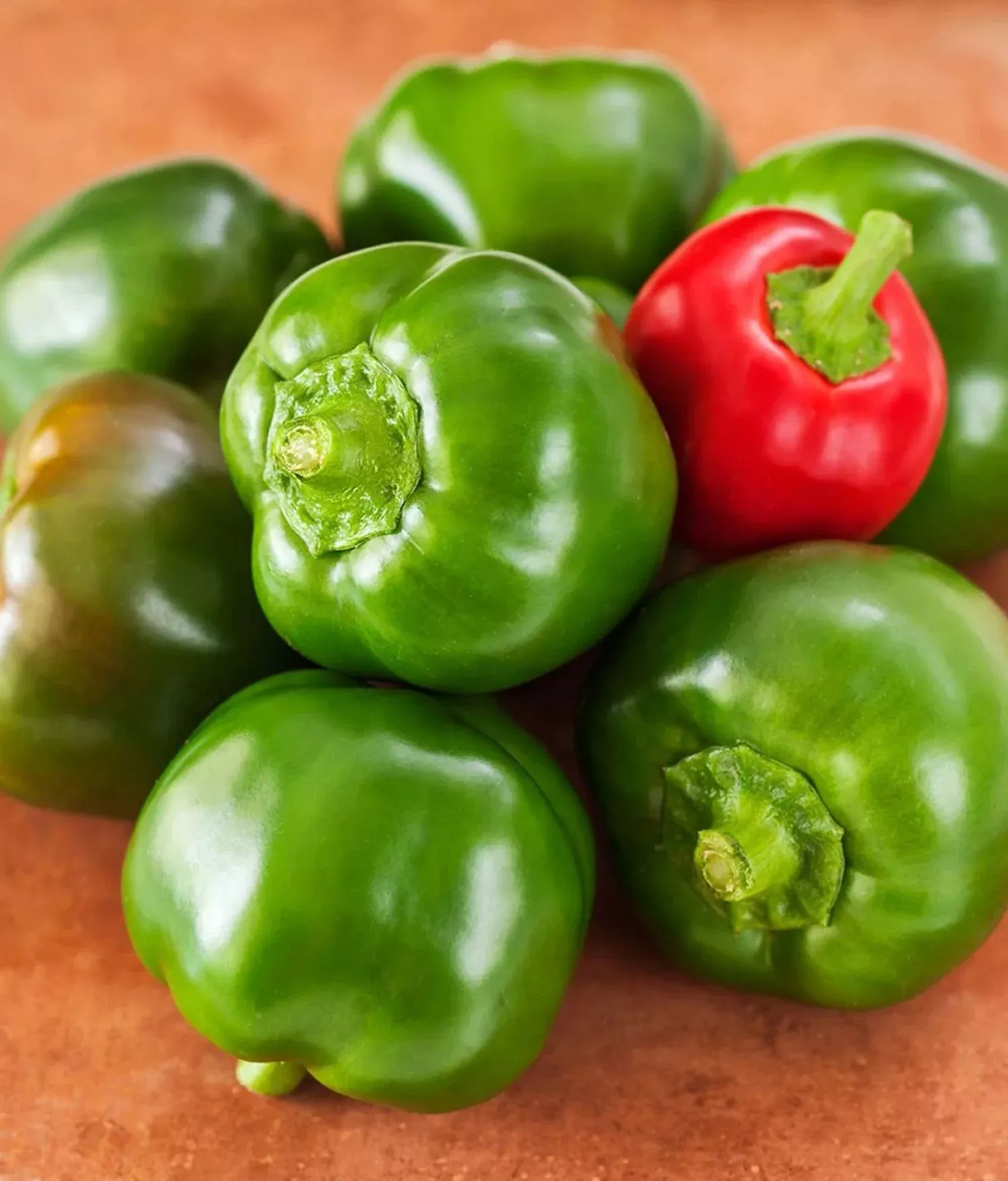 Mexibell Pepper (2 Pack)