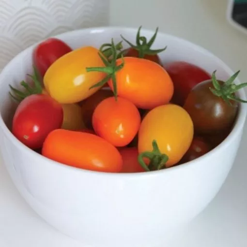 Mingle Mix Tomato Seeds