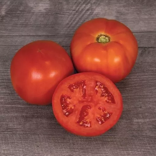 Mountain Man Tomato Seeds
