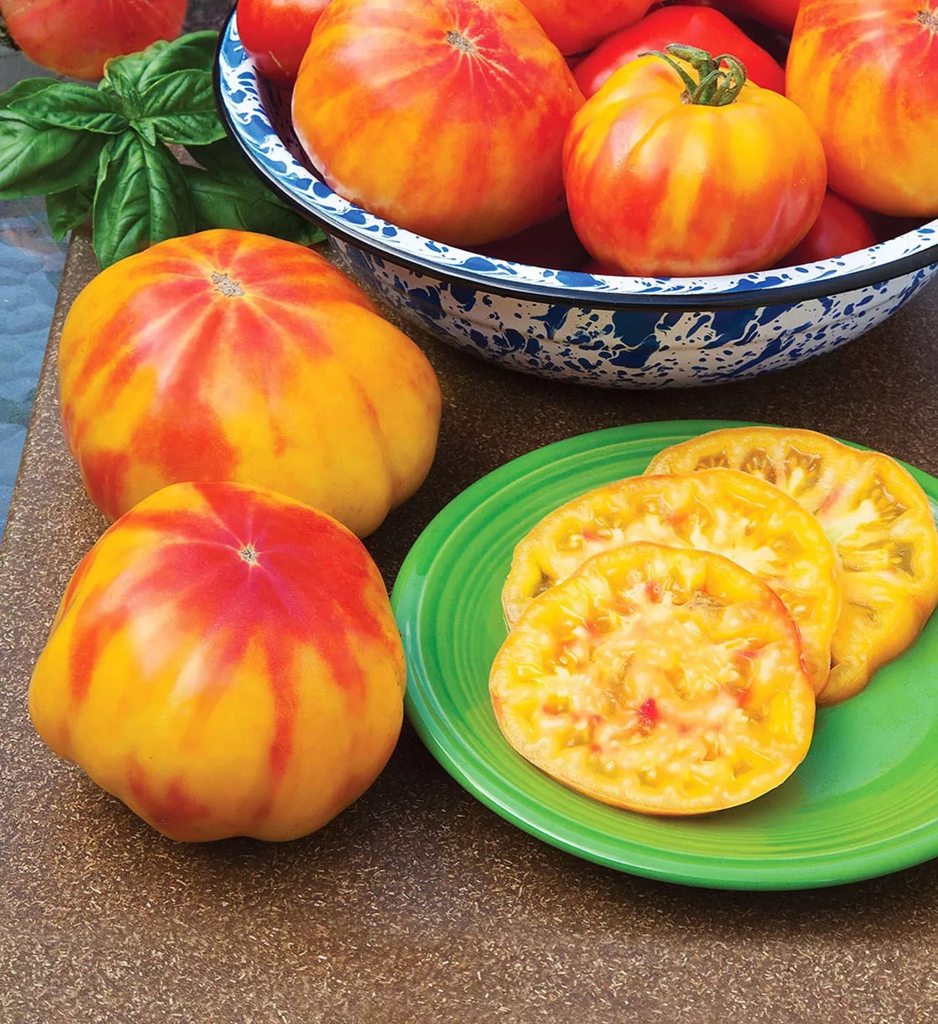 Mr. Stripey Heirloom Tomato (2 Pack)