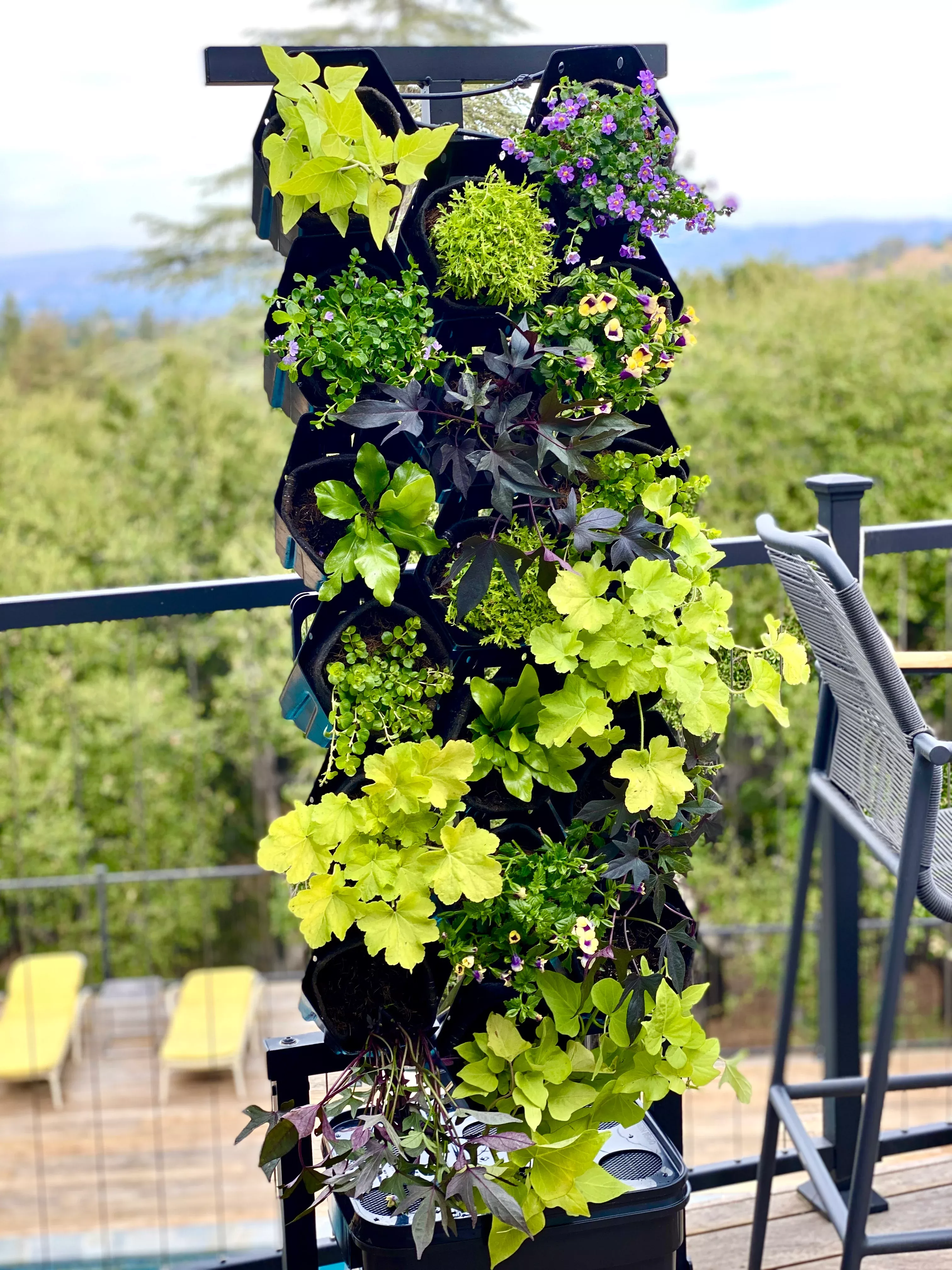 Neon Green Glow Planted Wall Bundle