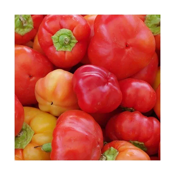 Organic Alma Paprika Mild Hot Peppers