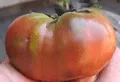 Organic Brandywine Red Tomato