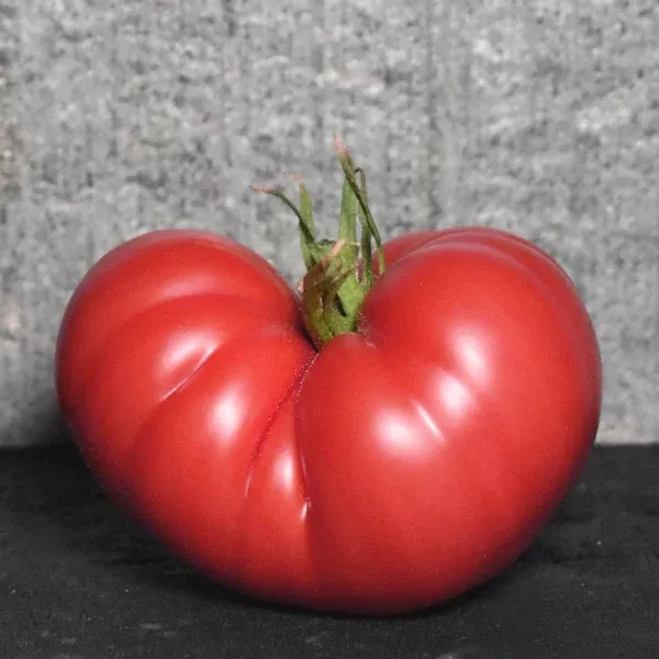 Organic German Johnson Tomato