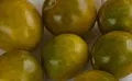 Organic Green Grape Cherry Tomato