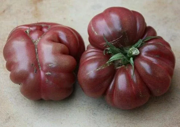 Organic Purple Calabash Tomato
