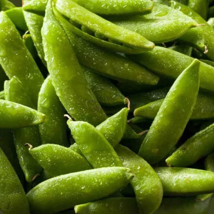 Pea Snap Sugar Ann Seeds