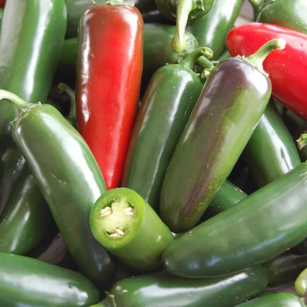 Pepper Hot Jalapeno Seeds