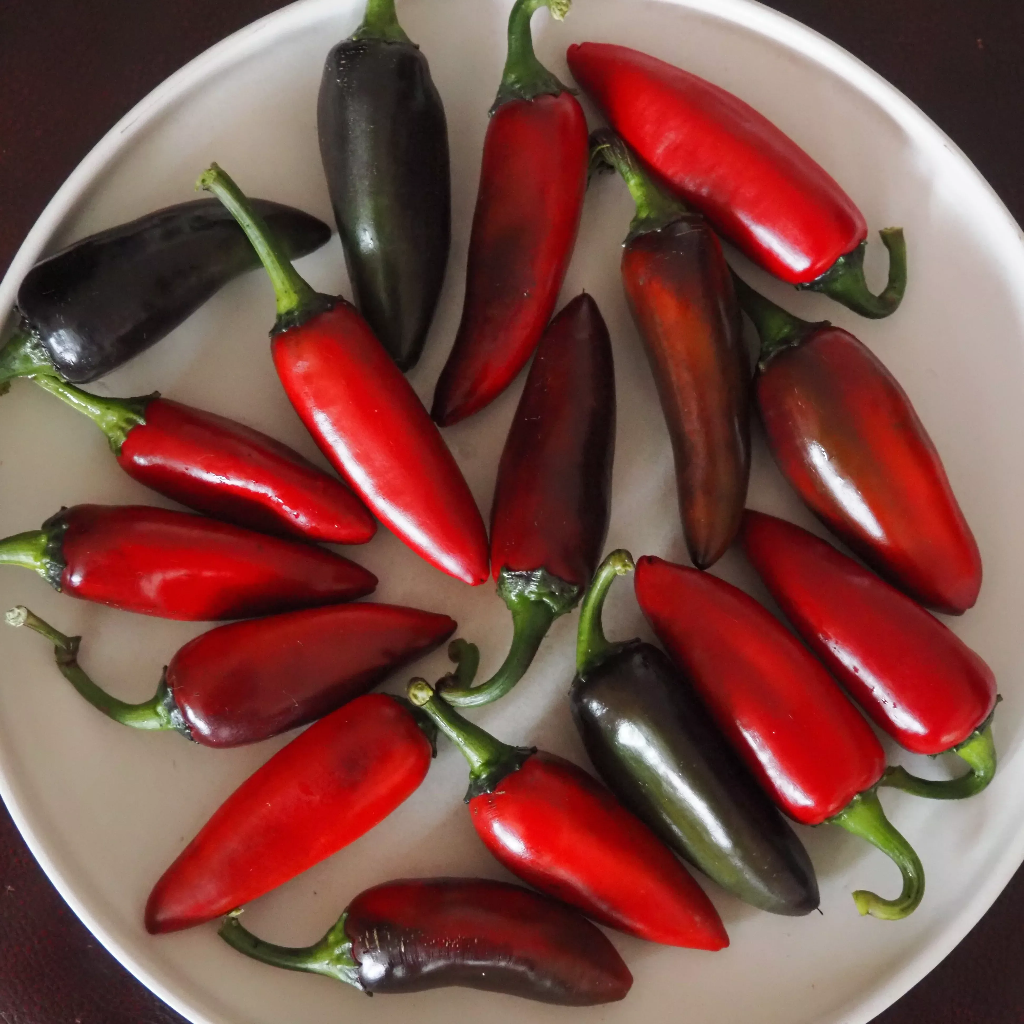 Pepper ⁃ Organic Seed Black Hungarian