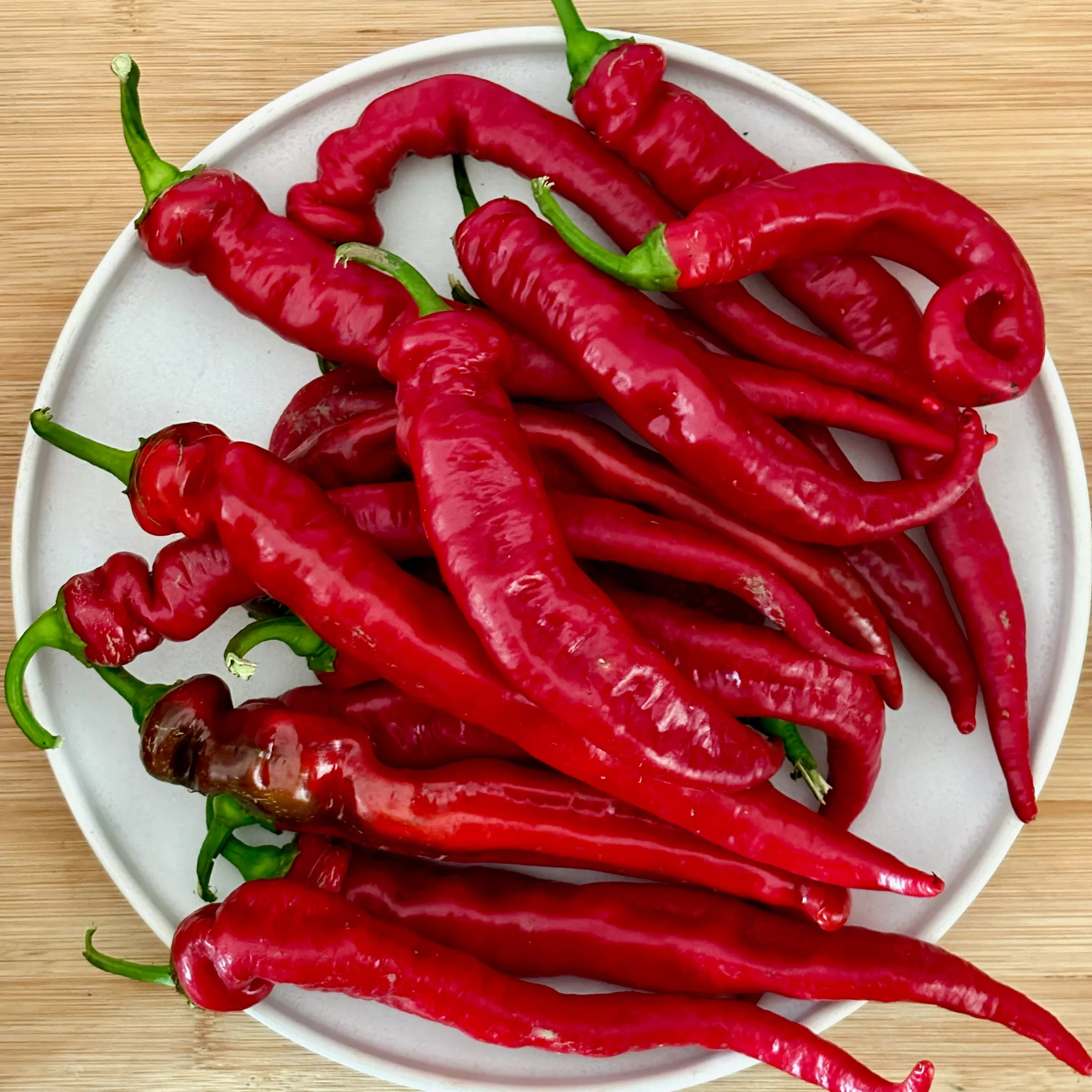 Pepper ⁃ Organic Seed Jimmy Nardello