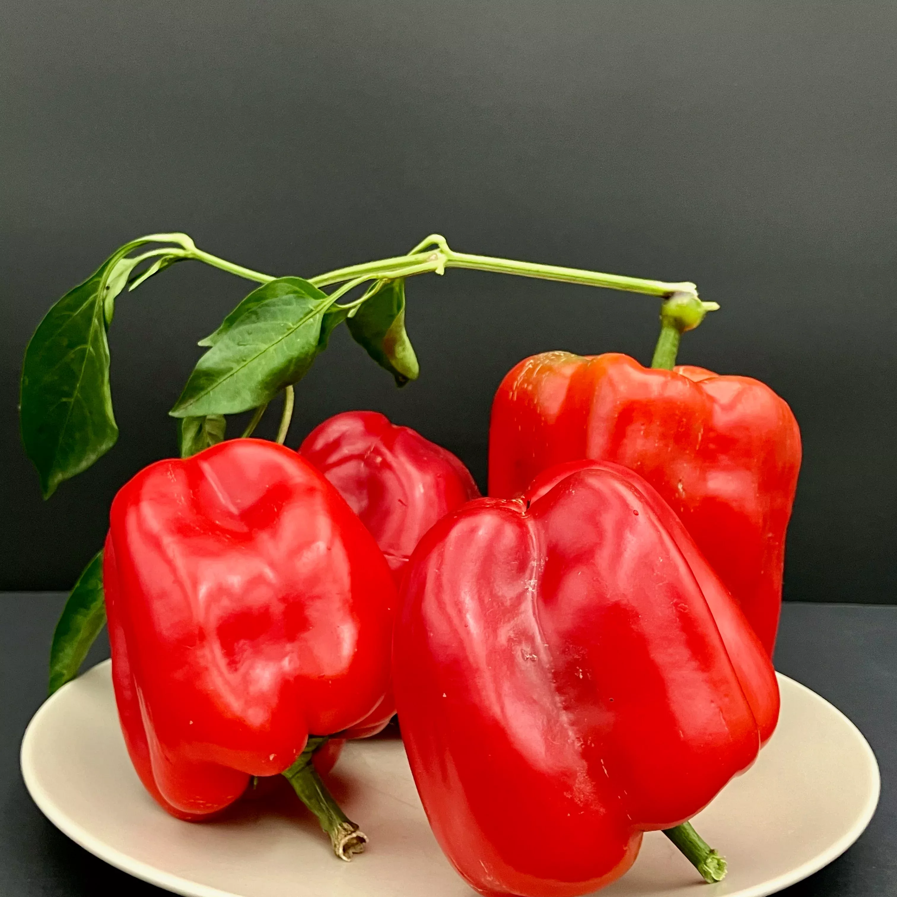 Pepper ⁃ Organic Seed Wisconsin Lakes