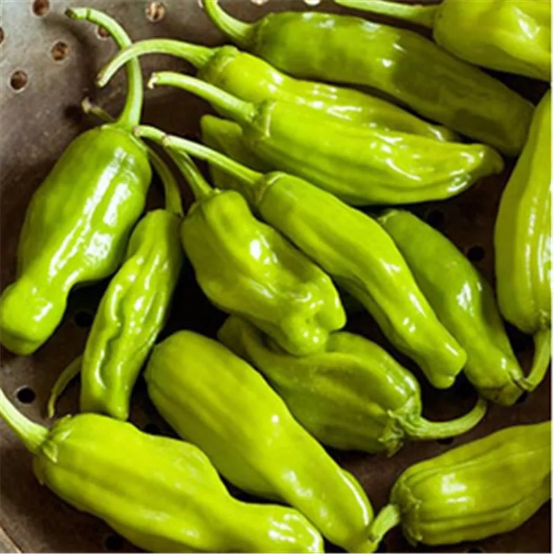 Pepperoncini Peppers